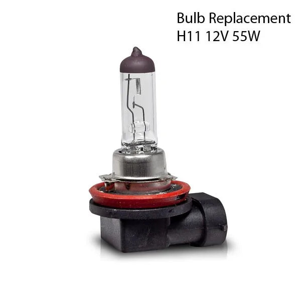 DC5 Integra Fog Light (02-04)